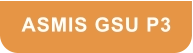 ASMIS GSU P3